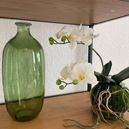 Lucky Ls12 - Vollausstattung - Zentrum - Grosse Kueche - 2 - Smart-tv